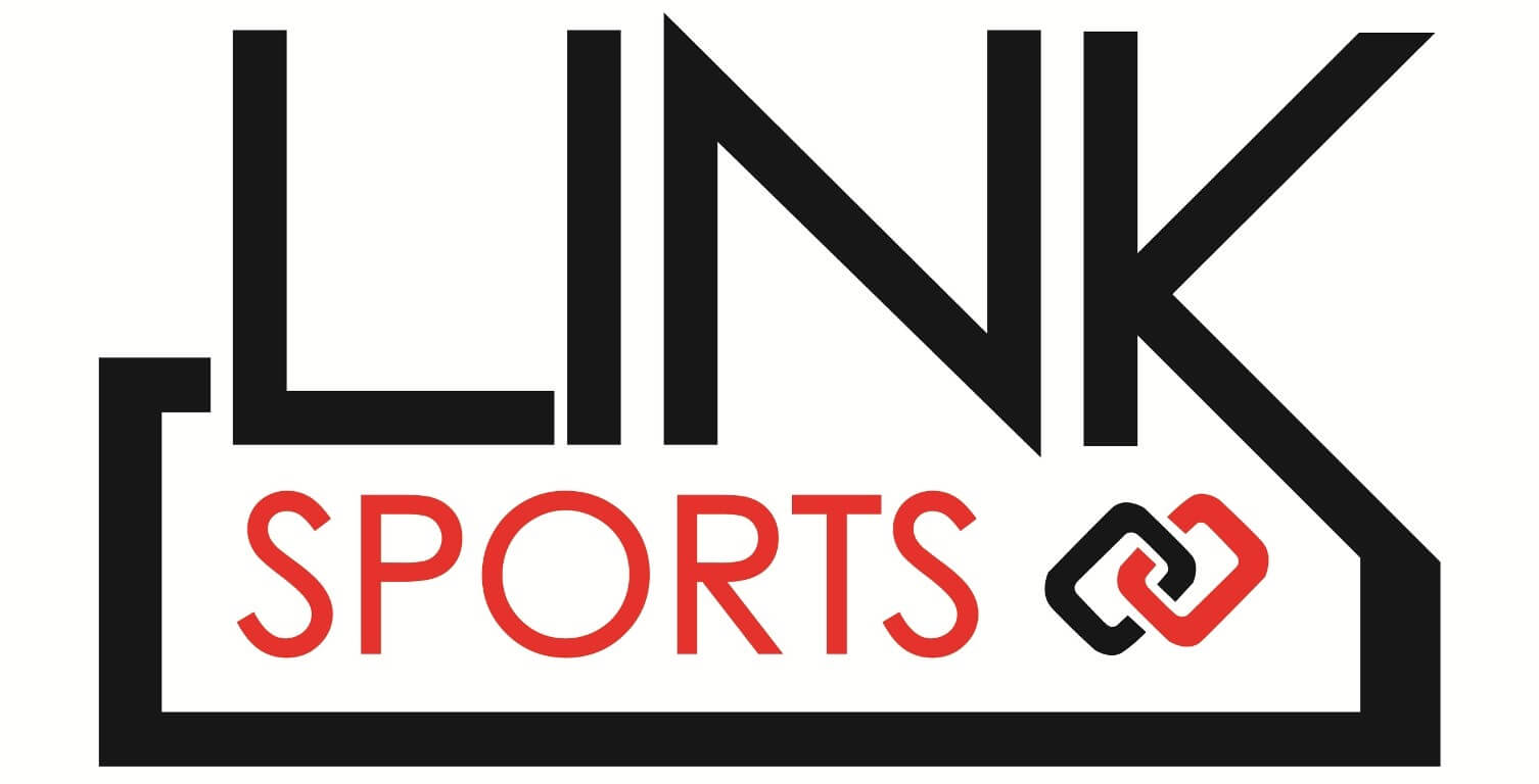 Link sportswear company logo