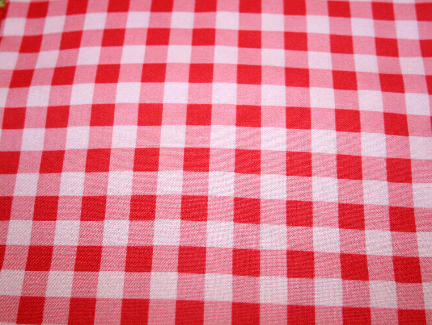 Red and white gingham fabric